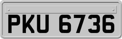 PKU6736
