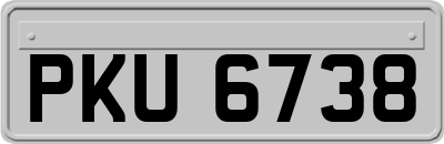 PKU6738