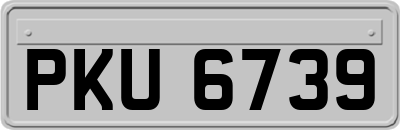 PKU6739