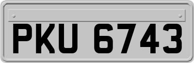 PKU6743