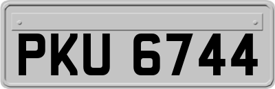 PKU6744