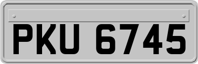 PKU6745