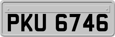 PKU6746