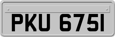 PKU6751