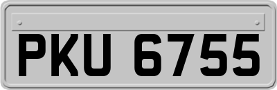 PKU6755