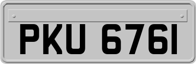 PKU6761