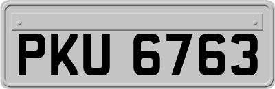 PKU6763