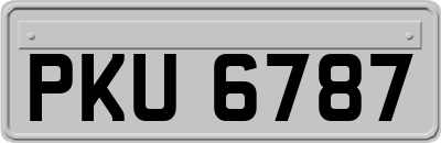 PKU6787