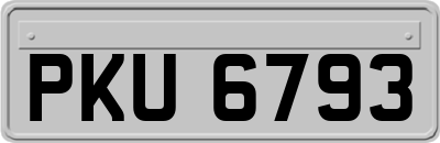PKU6793