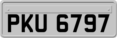 PKU6797
