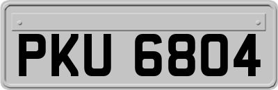 PKU6804