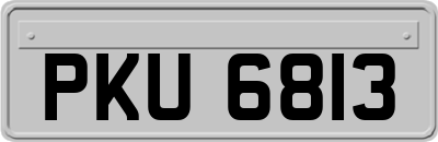 PKU6813