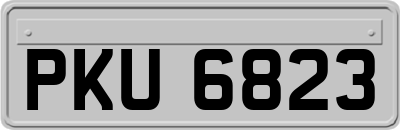 PKU6823