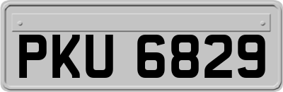 PKU6829