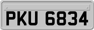 PKU6834