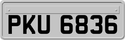 PKU6836