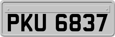 PKU6837
