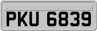 PKU6839