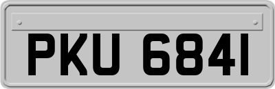 PKU6841