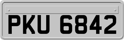 PKU6842