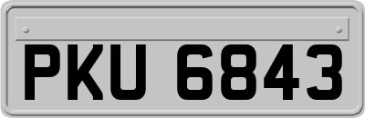 PKU6843