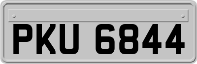 PKU6844