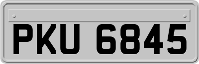 PKU6845