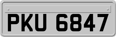 PKU6847