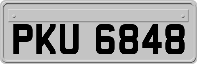 PKU6848