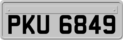 PKU6849