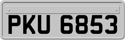 PKU6853