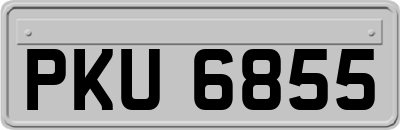 PKU6855