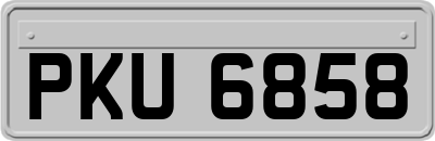 PKU6858