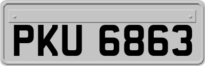 PKU6863