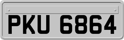 PKU6864