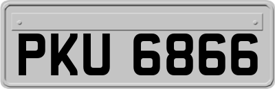PKU6866