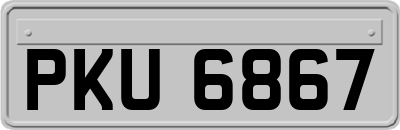 PKU6867