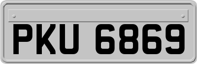PKU6869