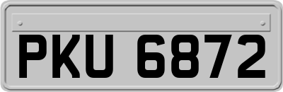 PKU6872