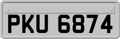 PKU6874