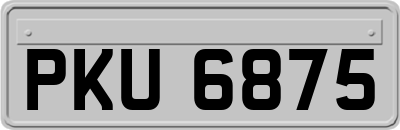 PKU6875