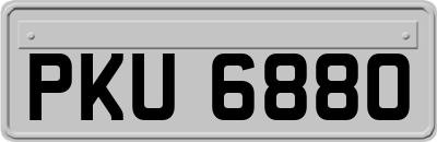 PKU6880