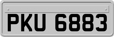 PKU6883