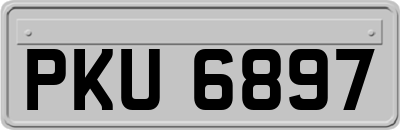PKU6897