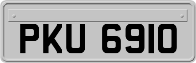 PKU6910
