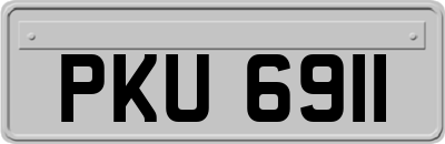 PKU6911