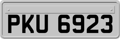 PKU6923