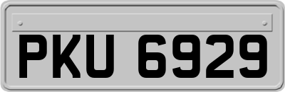 PKU6929