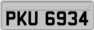 PKU6934