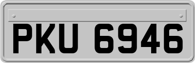 PKU6946